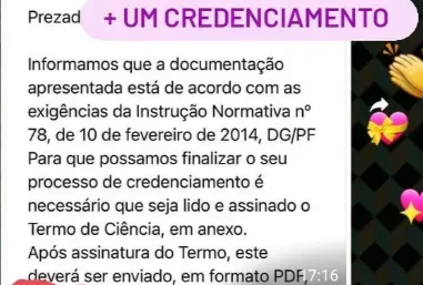 Relato de participante 2